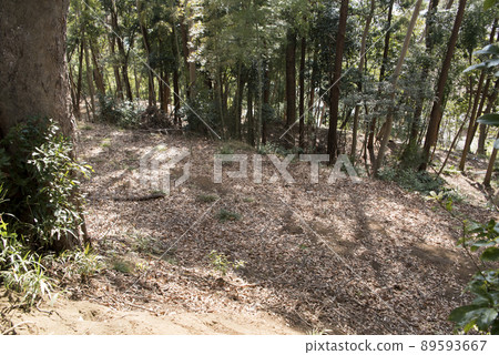 The waist-curved ring that remains in Oba Castle Ruins Park 89593667