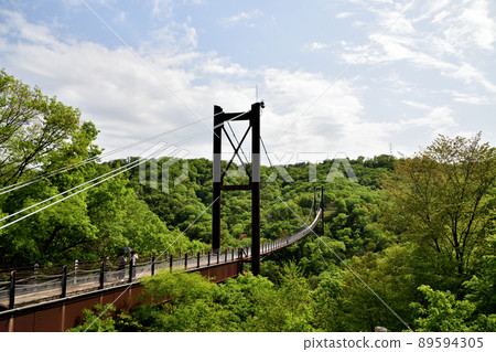 Hoshi no Buranko [大阪府片野市] 89594305