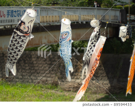 鯉魚旗(長房、八王子) 鯉魚旗(長房、八王子) 89594433