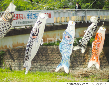 鯉魚旗(長房、八王子) 鯉魚旗(長房、八王子) 89594434