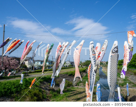 Carp streamer (Nagabusa, Hachioji) Carp streamer (Nagabusa, Hachioji) 89594468