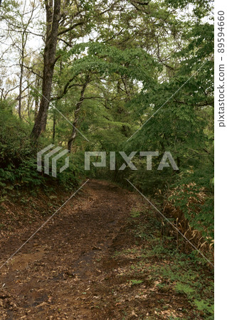 Mountain path of a valley 89594660