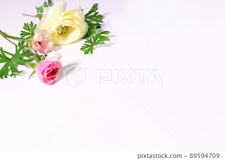 白色背景上的毛茛花，深粉色、大黃色和漸變粉色三朵花 89594709