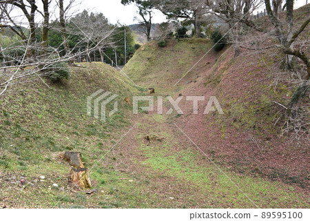 Nagashino Castle Honmaru's empty moat 89595100
