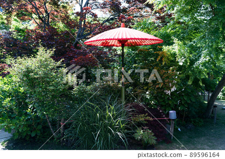 埼玉縣所澤市塔莫寧美沙門堂花園 89596164