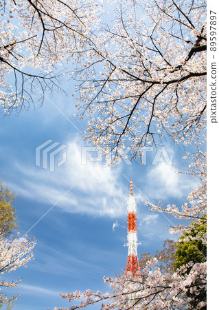 It is a landscape with a TV tower in Hijiyama Park, a famous place for cherry blossoms. See the changing sky and bright images. Hiroshima Prefecture 89597897