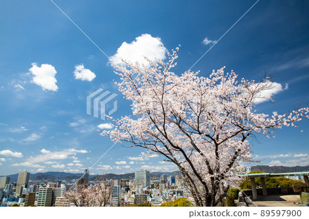 從羊山公園富士見台展望台眺望廣島市西側。富士見町、寶町、竹屋町、市政府。廣島縣 從羊山公園富士見台展望台眺望廣島市西側。富士見町、寶町、竹屋町、市政府。廣島縣 89597900