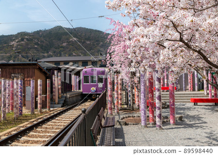 Randen Arashiyama Station Sakura in full bloom Randen Arashiyama Station Sakura in full bloom 89598440