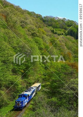 Fresh green tree line Okuizumo Orochi 89598617