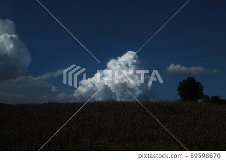 A magnificent cumulonimbus cloud that springs up in the sky of the rich land of the countryside 89598670