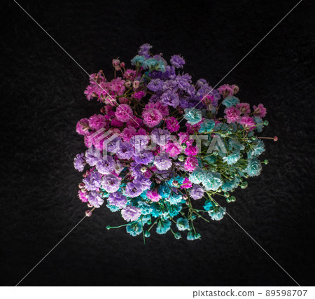 One flower on black background. Closeup. Nature. One flower on black background. Closeup. Nature. 89598707