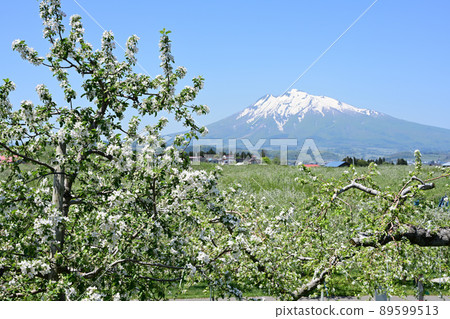 Tsugaru spring scenery Tsugaru spring scenery 89599513