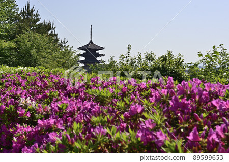 八坂塔(五層塔)和杜鵑花 八坂塔(五層塔)和杜鵑花 89599653
