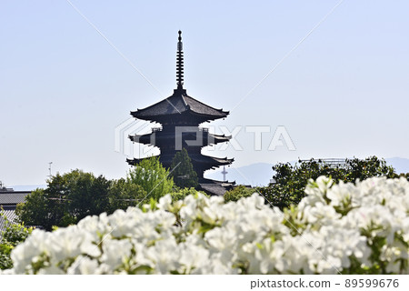 八坂塔(五層塔)和杜鵑花 八坂塔(五層塔)和杜鵑花 89599676