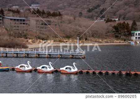 蘆之湖鴨船 蘆之湖鴨船 89600205