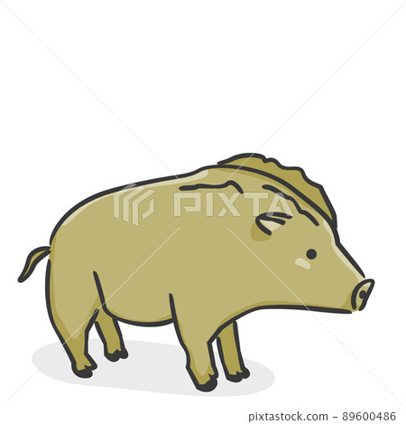 時尚野豬（插圖圖標） 89600486