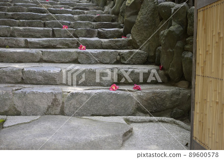 Shisendo stone steps and scattered camellia 89600578