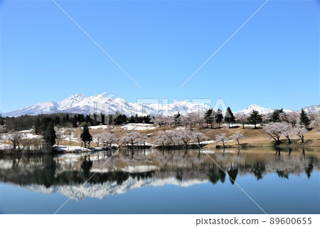 Myoko mountains and pine trees in Myoko Myoko mountains and pine trees in Myoko 89600655