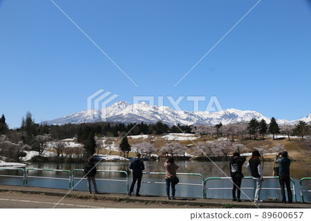 Myoko mountains and pine trees in Myoko Myoko mountains and pine trees in Myoko 89600657