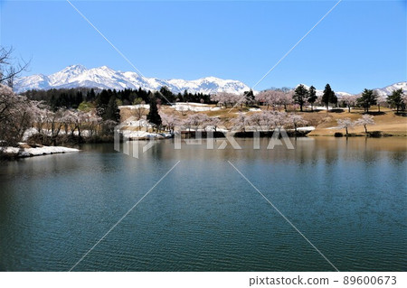 妙高山和妙高松樹 妙高山和妙高松樹 89600673