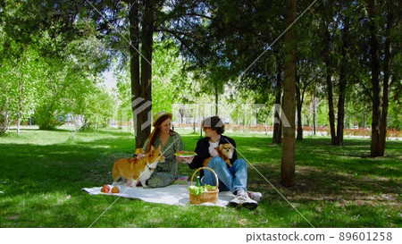 A young couple is sitting in the park on a picnic and stroking their pet dogs on the head. Picnic in nature 89601258