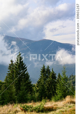 Landscapes of the Ukrainian Carpathians, a trip to the ridges of the mountains in Ukraine. Landscapes of the Ukrainian Carpathians, a trip to the ridges of the mountains in Ukraine. 89601287