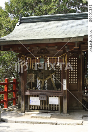 八台神社下坡松小木 八台神社下坡松小木 89601381
