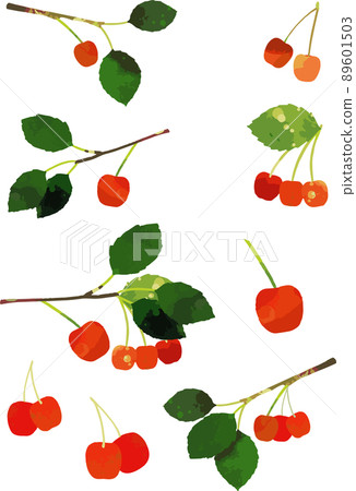 Cherry illustration material 89601503