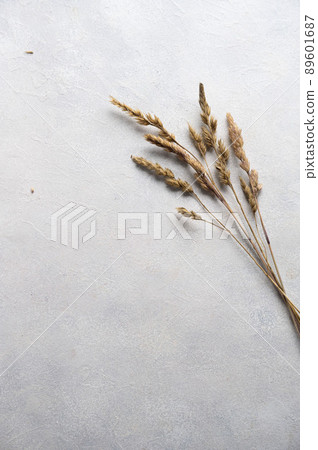 Still life mockup, dry grass, dried flowers. Beige table background. Flatlay, copy space 89601687