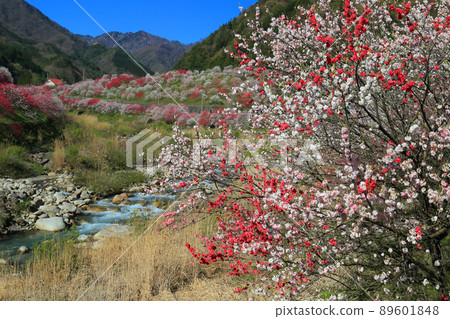 Hanamo no Sato Hanamo no Sato 89601848