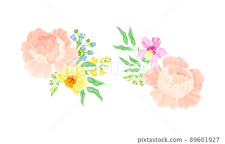 Bouquet of delicate garden flowers set vector illustration Bouquet of delicate garden flowers set vector illustration 89601927