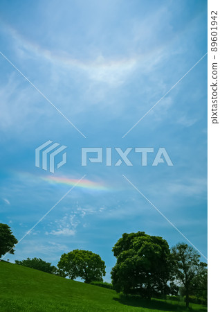 五月藍天中的光暈和水平圓弧 五月藍天中的光暈和水平圓弧 89601942