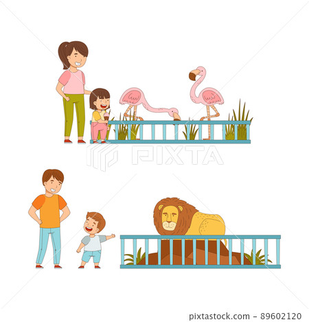 At Zoo with Happy Little Kid with Parent Looking at Flamingo and Lion Behind Enclosure Vector Illustration Set 89602120