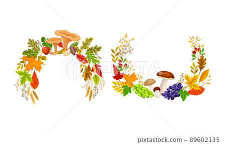 Bright Autumn Foliage with Berry and Mushroom Vector Composition Set Bright Autumn Foliage with Berry and Mushroom Vector Composition Set 89602135