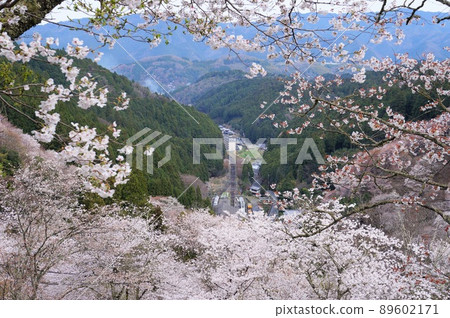 [Yoshinoyama, Nara Prefecture] View from Shimosenbon Free Rest Area 89602171