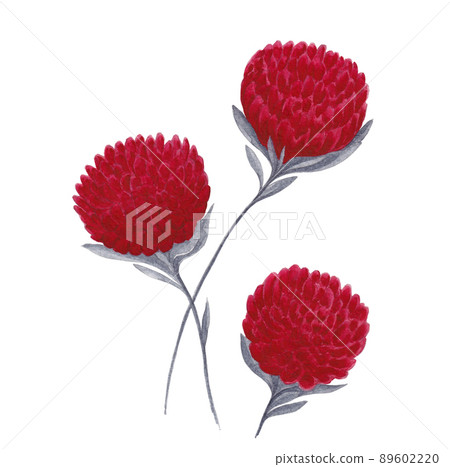 Isolated floral design element. Hand drawn watercolor painting three bright red flowers with gray leaves on white background. Isolated floral design element. Hand drawn watercolor painting three bright red flowers with gray leaves on white background. 89602220