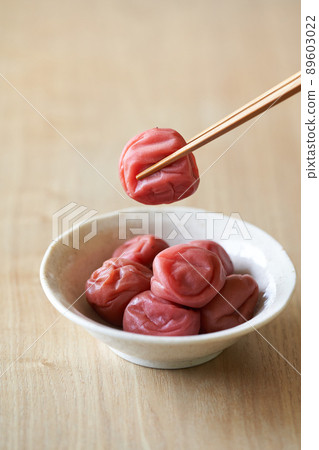 紀州南光梅 89603022