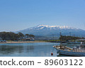 Kisakata Fishing Port and Mt.Chokai 89603122