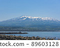 Kisakata Fishing Port and Mt.Chokai 89603128