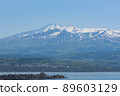 Kisakata Fishing Port and Mt.Chokai 89603129