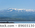 Kisakata Fishing Port and Mt.Chokai 89603130