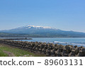 Kisakata Fishing Port and Mt.Chokai 89603131