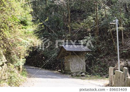 Taniyanyama Fudo-in Temple Taniyanyama Fudo-in Temple 89603409
