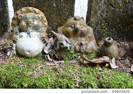 Tanukidaniyama Fudoin Tanuki Tanukidaniyama Fudoin Tanuki 89603608