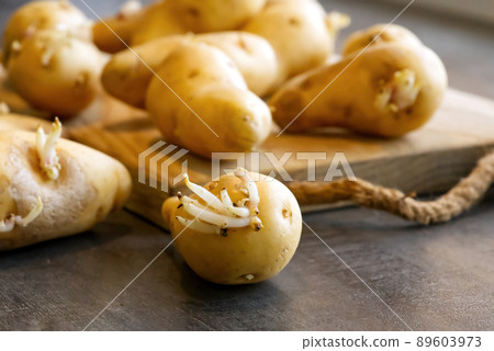 sprouted seed potatoes on a dark table and wooden board 89603973