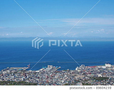 View from Otaru Tenguyama Rooftop Observatory 89604239