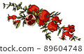 Beautiful pomegranate branch. Red fruit with leaves. Outline drawing 89604748