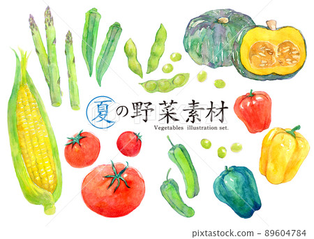 Seasonal vegetables summer watercolor illustration set 89604784