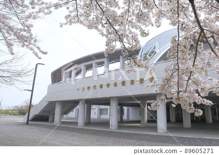 Sakura in front of the stadium (Komyoji Park Stadium, Ichinomiya City, Aichi Prefecture) Sakura in front of the stadium (Komyoji Park Stadium, Ichinomiya City, Aichi Prefecture) 89605271
