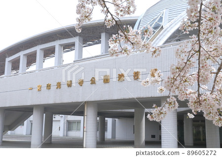 Sakura in front of the stadium (Komyoji Park Stadium, Ichinomiya City, Aichi Prefecture) Sakura in front of the stadium (Komyoji Park Stadium, Ichinomiya City, Aichi Prefecture) 89605272